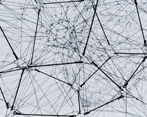 Netzwerk